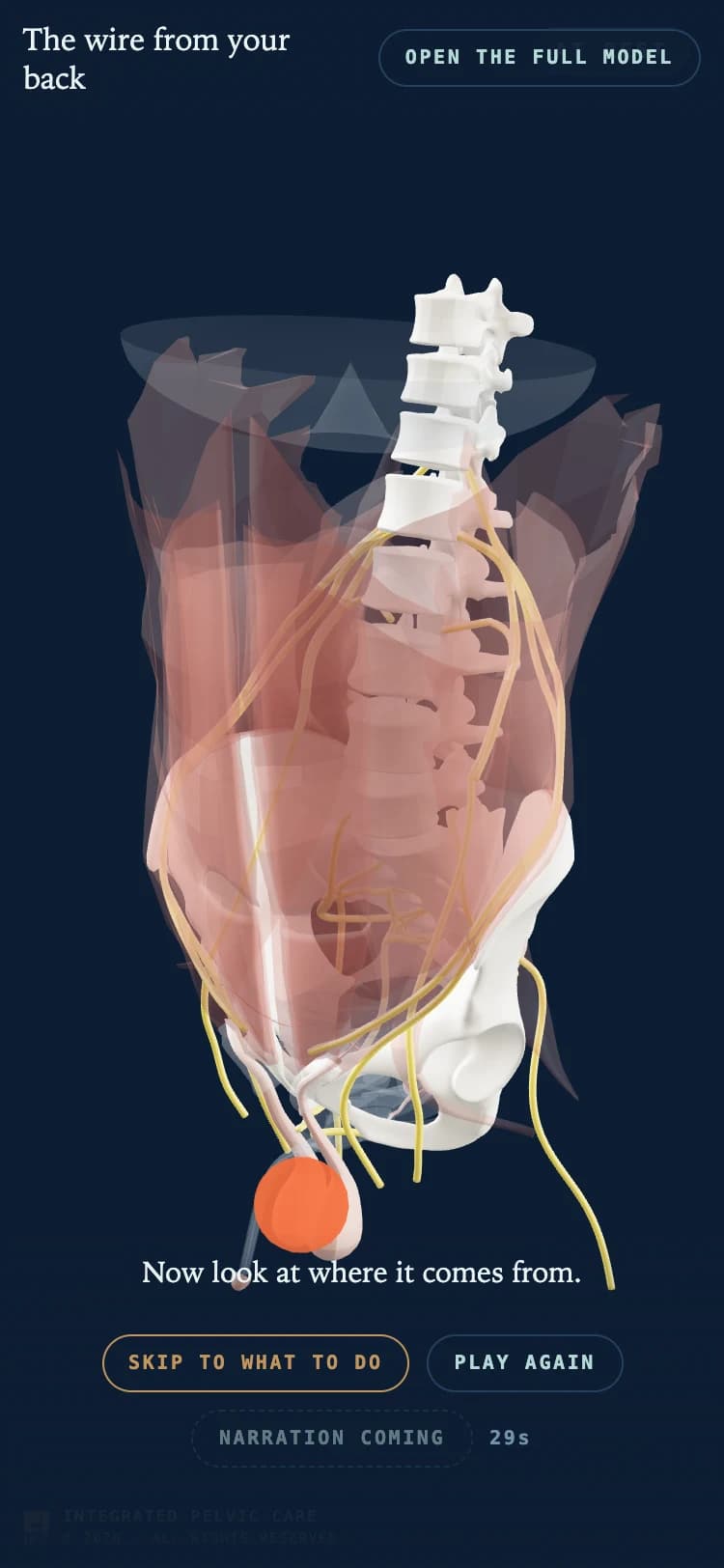 The wire from your back